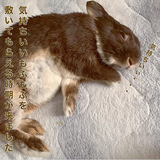 mo-nosukeさんの実例写真