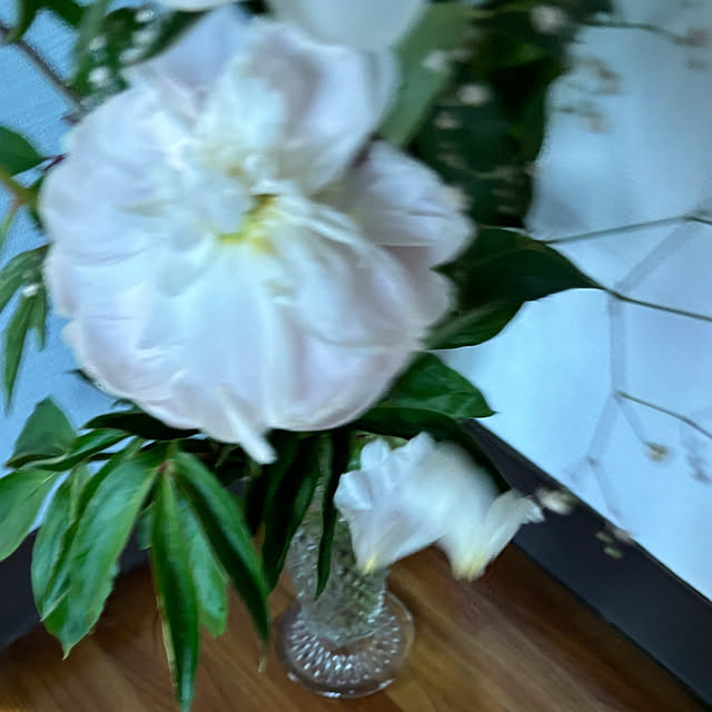 syutmmさんの部屋
