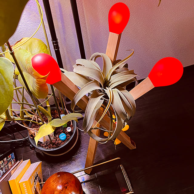 zacさんの実例写真