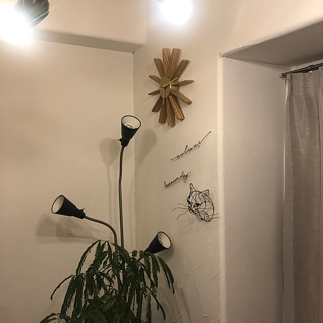 pu-nyu-pu-nyuさんの部屋