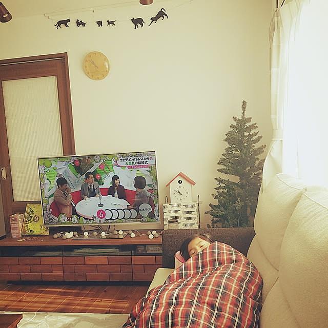 bebeさんの部屋