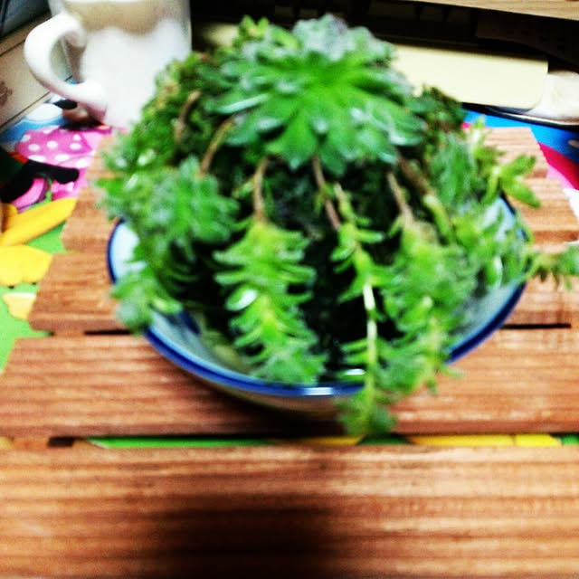mkshiningmymさんの実例写真