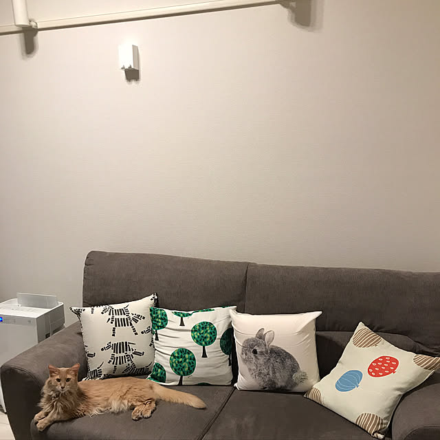 mofucatさんの実例写真