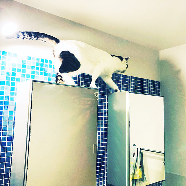 yukimiさんの実例写真