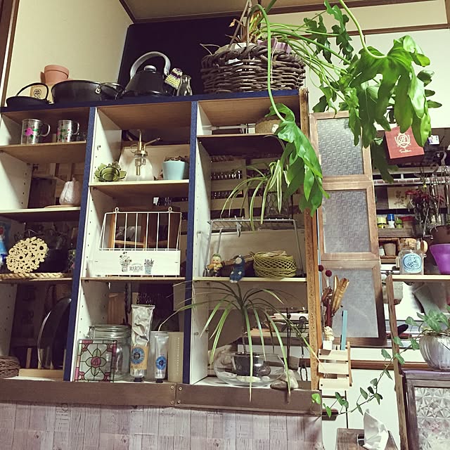 Norikoさんの部屋