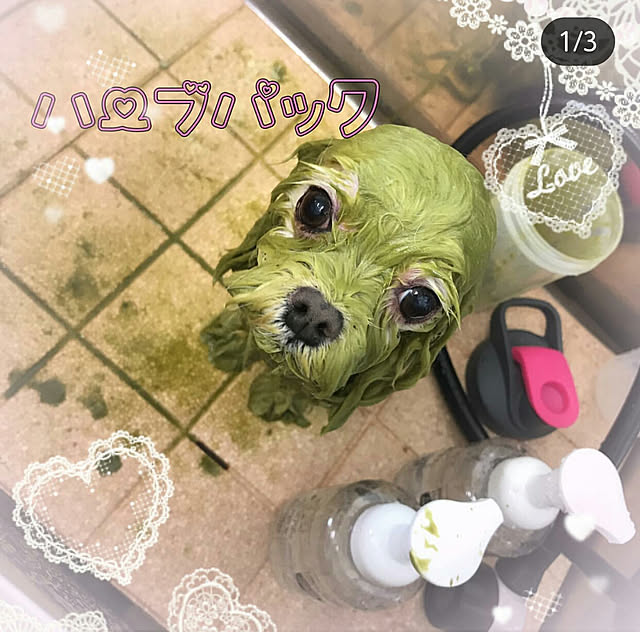 VIORAさんの実例写真