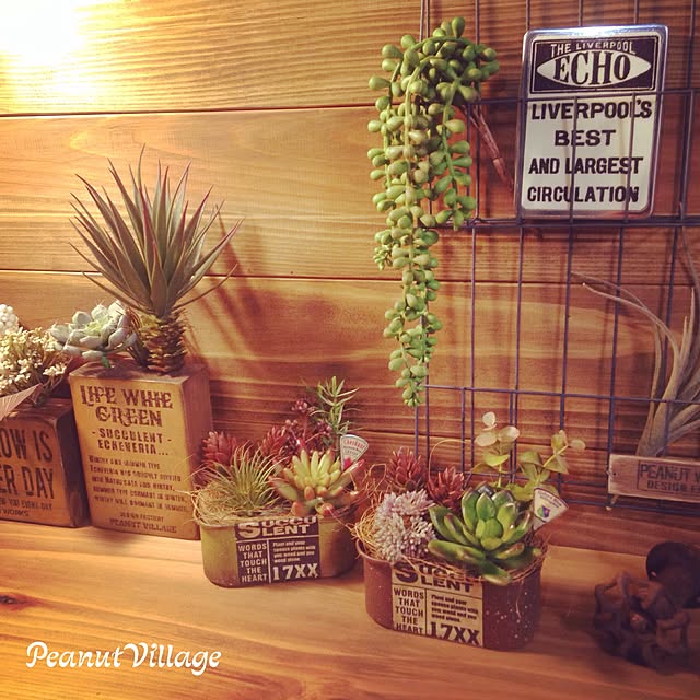 PeanutVillageさんの実例写真