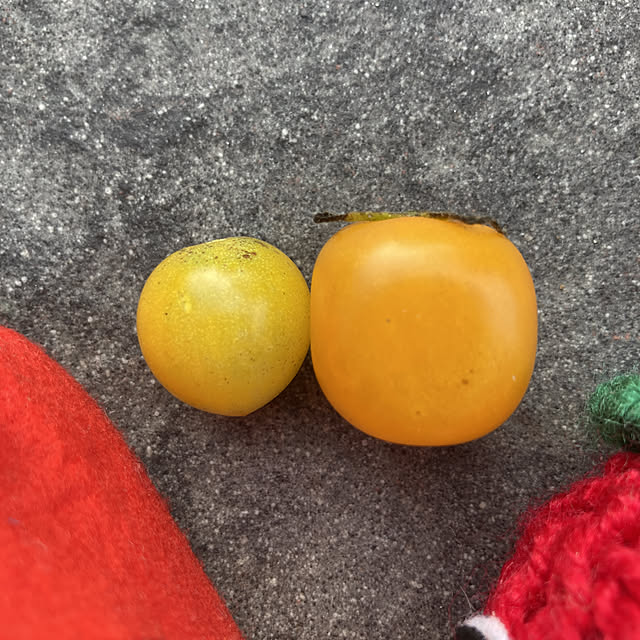 manduonmaさんの実例写真