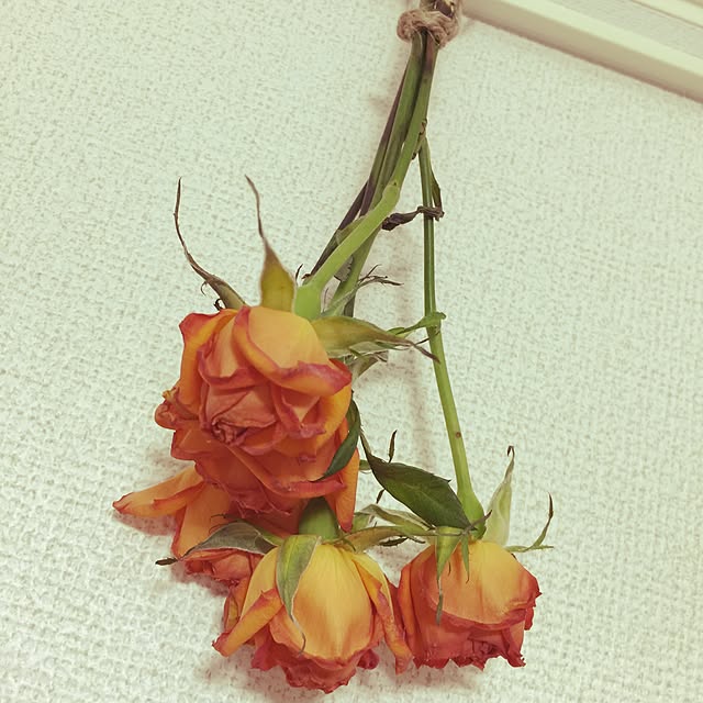 chapurinさんの実例写真