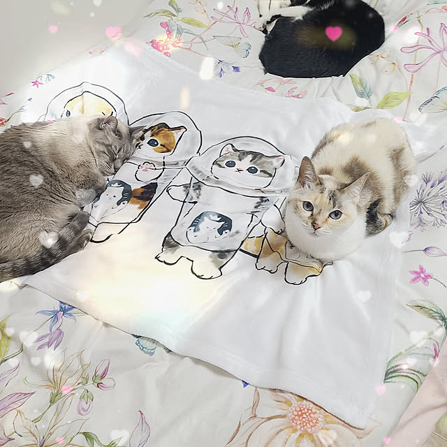 mzk5678910さんの実例写真
