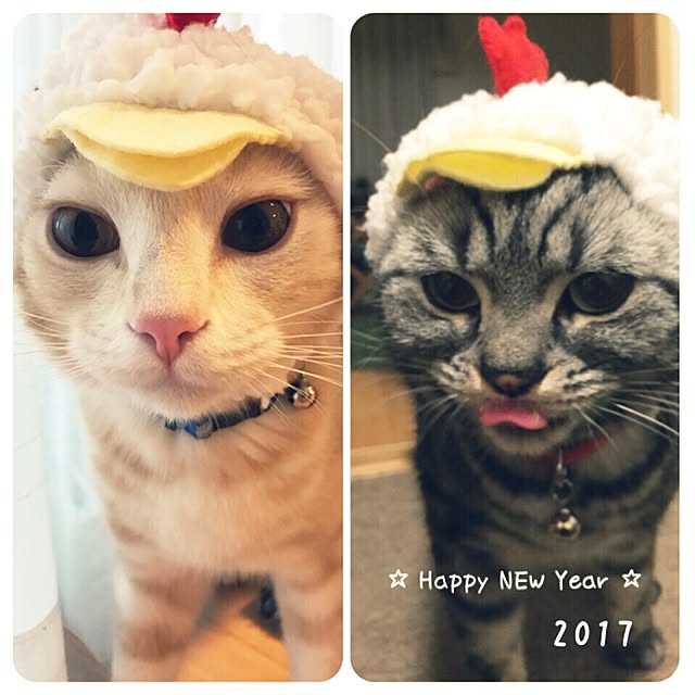 hiyupan88さんの実例写真