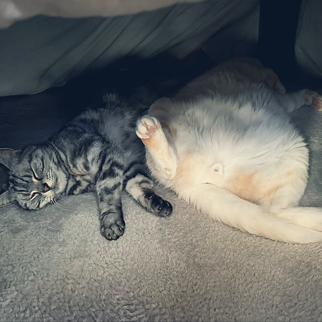 hiyupan88さんの部屋