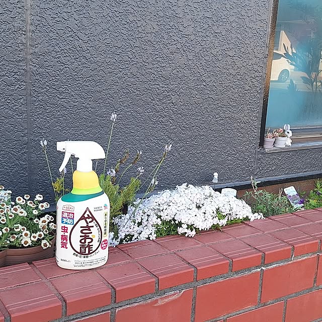 hanapanさんの実例写真