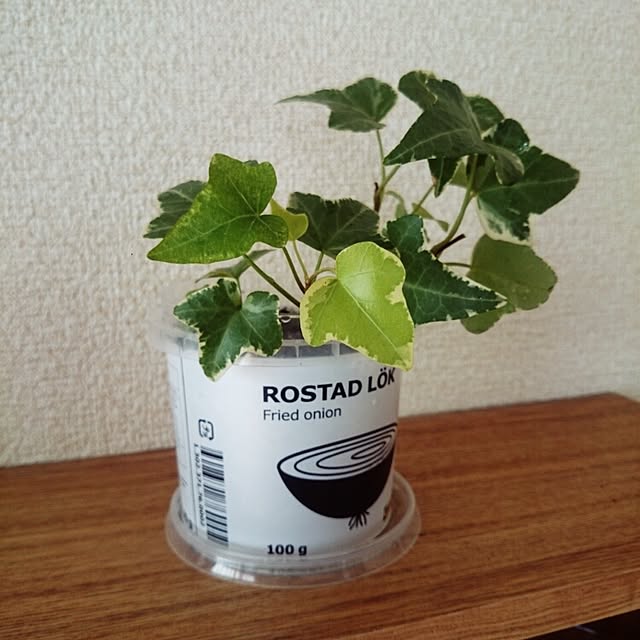 chatさんの実例写真