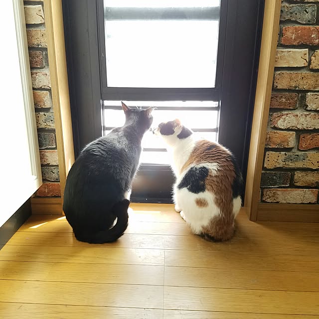 Kinanさんの実例写真