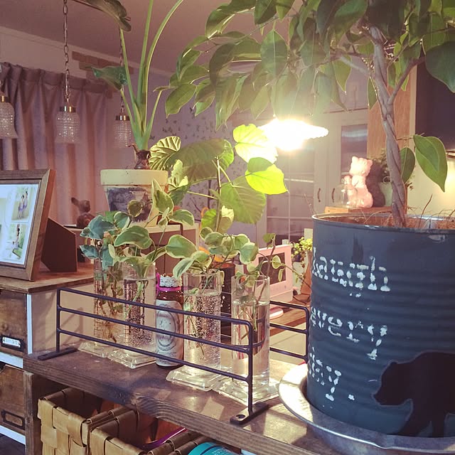 bambi_eyeさんの実例写真