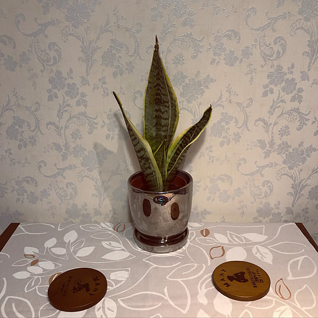 mutsuさんの実例写真
