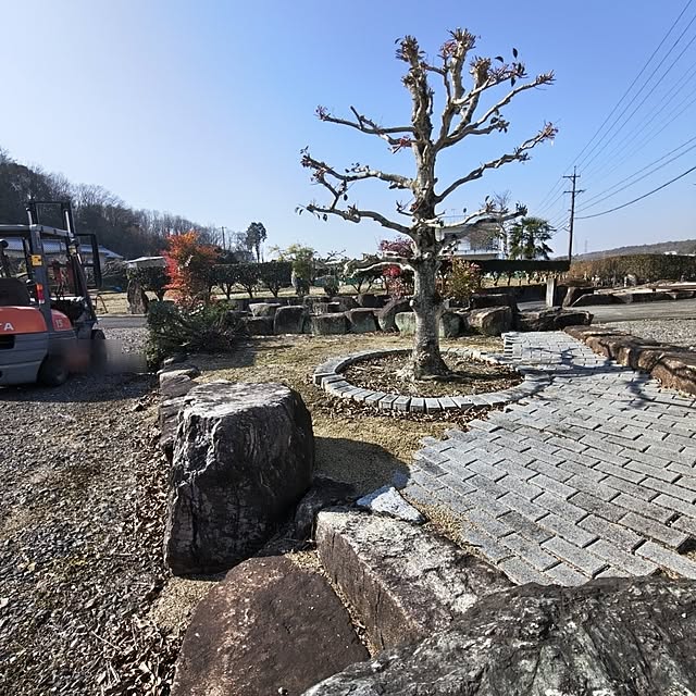 Rubiconさんの部屋