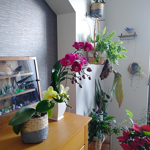 reko639さんの部屋