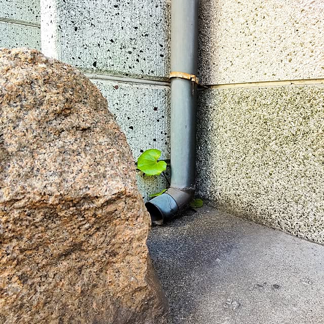 faunさんの部屋