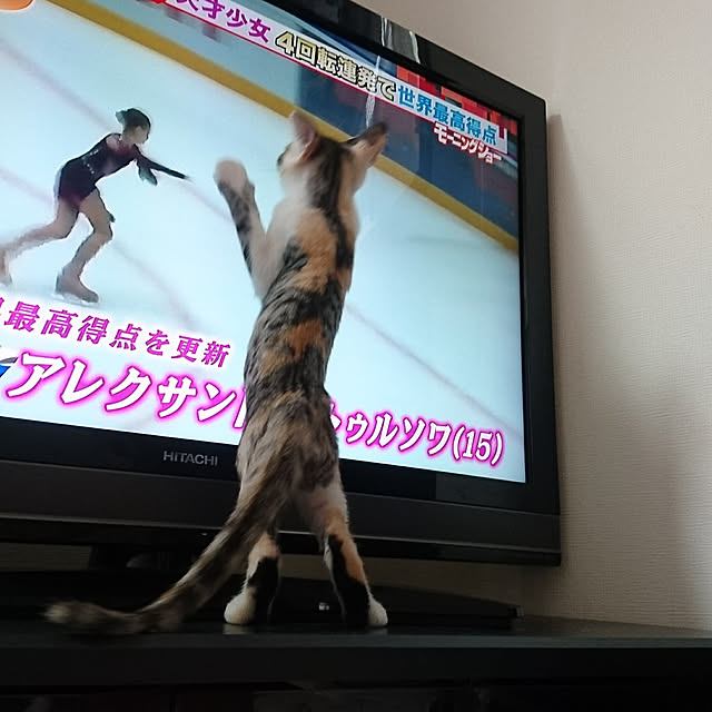 shinobuさんの実例写真