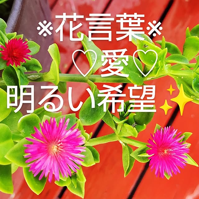 katさんの部屋