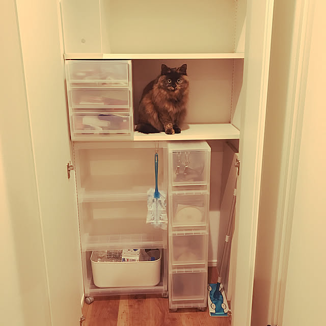 chiapetさんの実例写真