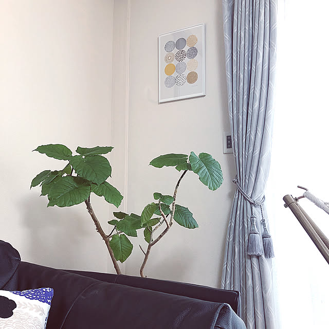 akeさんの実例写真
