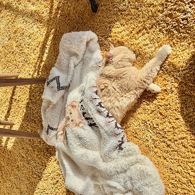 naokoさんの部屋