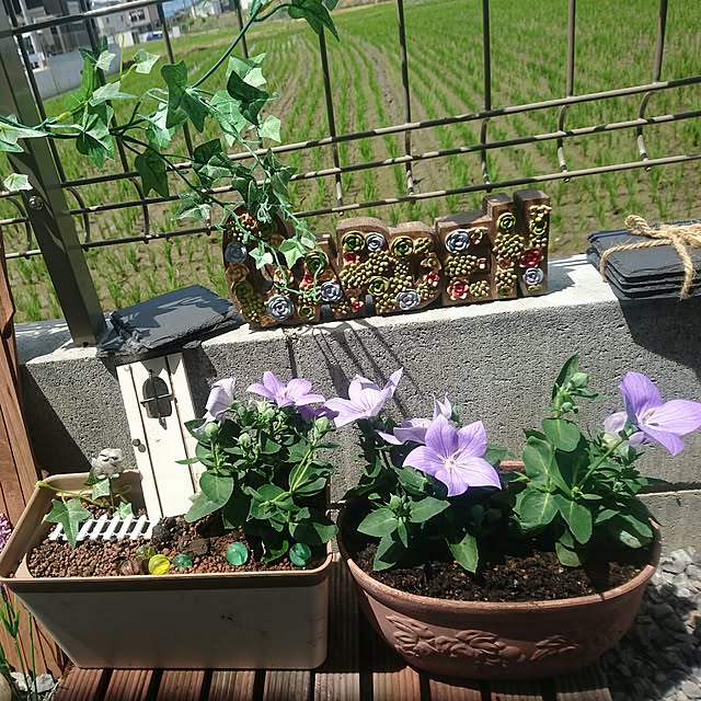 aiさんの実例写真