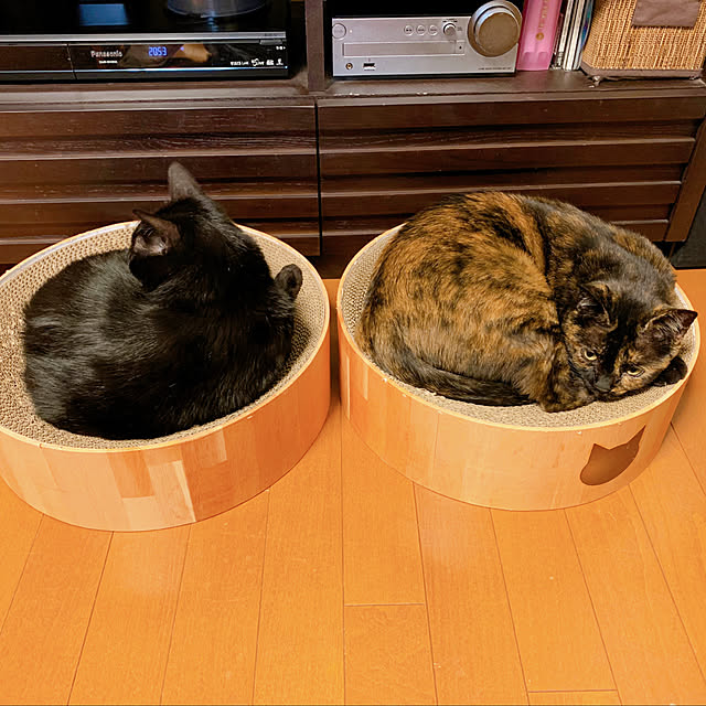 mameazさんの実例写真