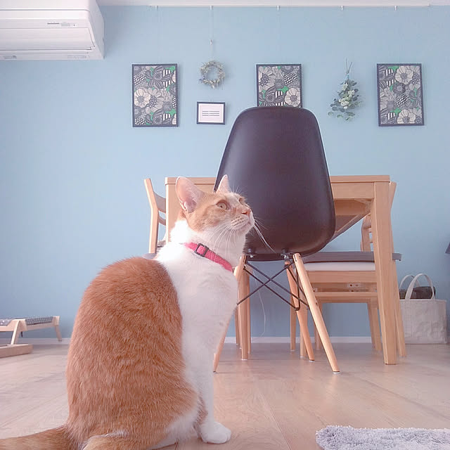 Yさんの実例写真