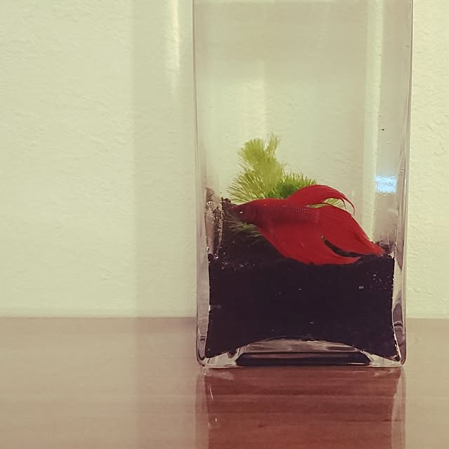 smooch_smoochさんの実例写真