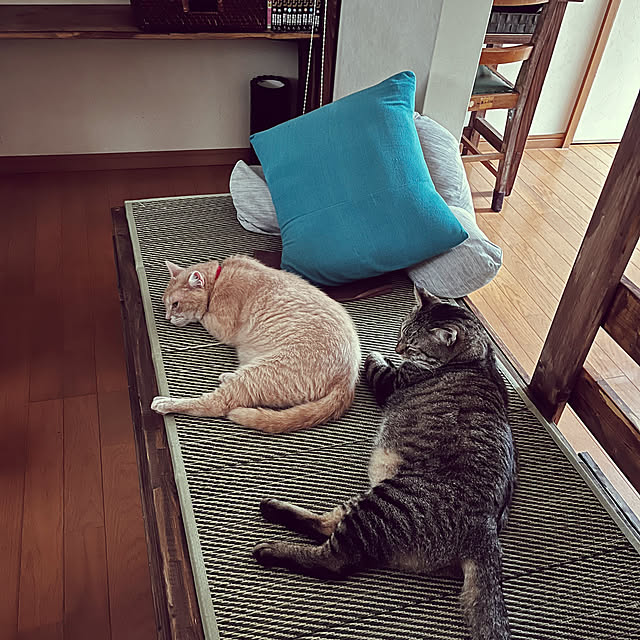 実例写真