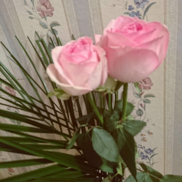 m.retoroさんの実例写真