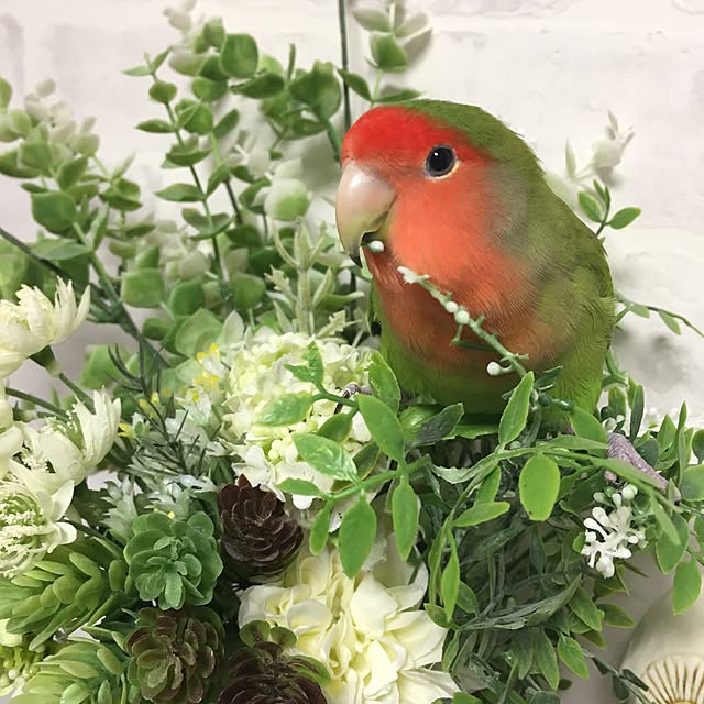 Ayakaさんの実例写真