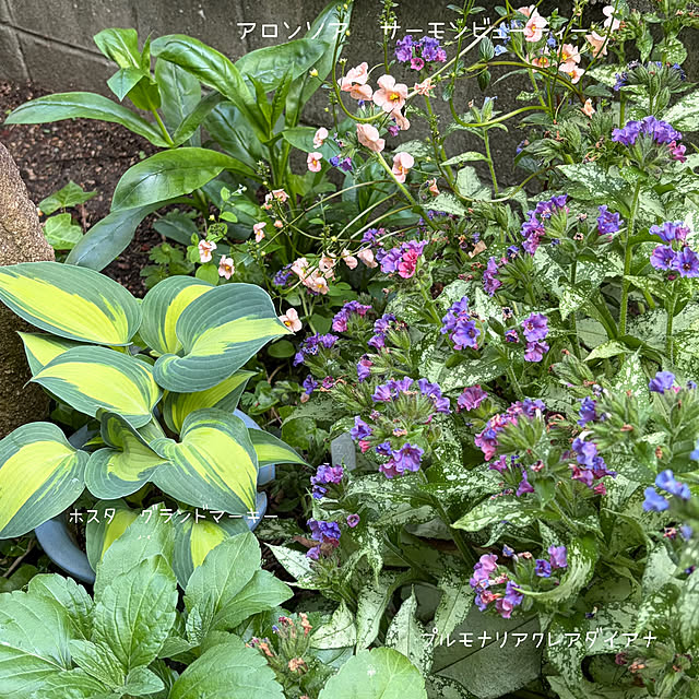 buchiさんの部屋