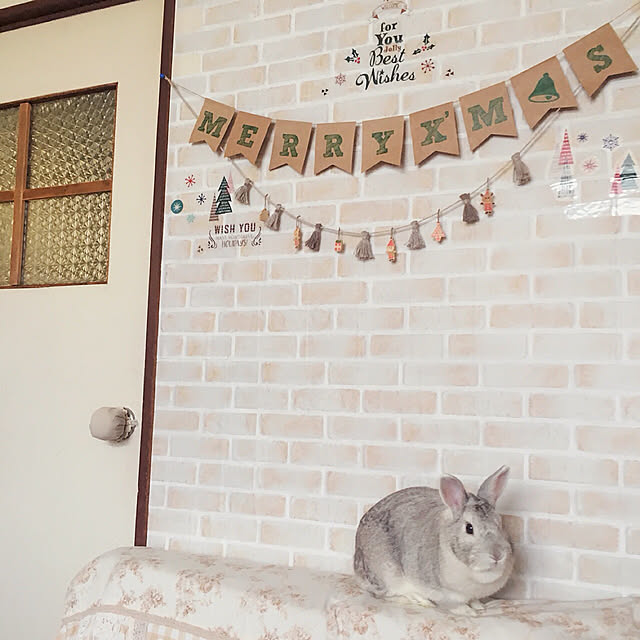 mizutamaさんの実例写真