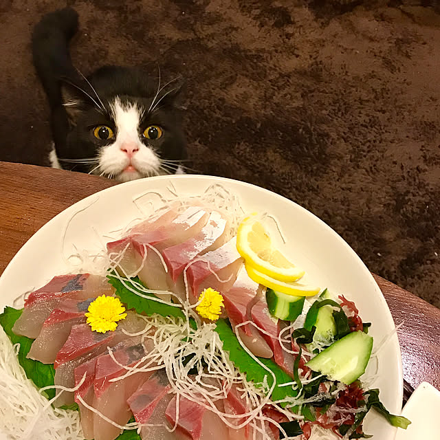 butachanさんの実例写真