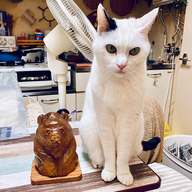 YUKAさんの実例写真