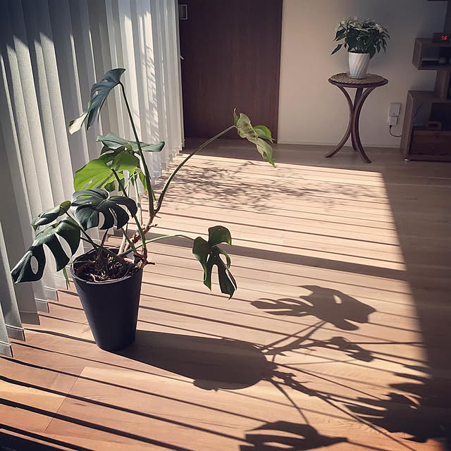 houenさんの実例写真
