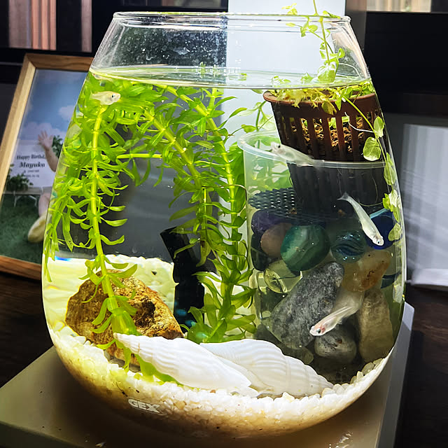 yukaringさんの部屋