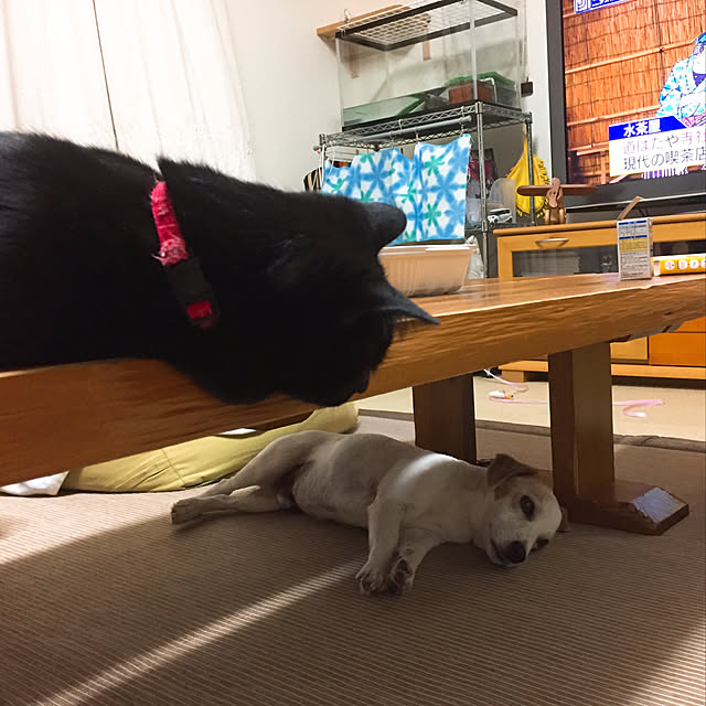 nanaさんの実例写真