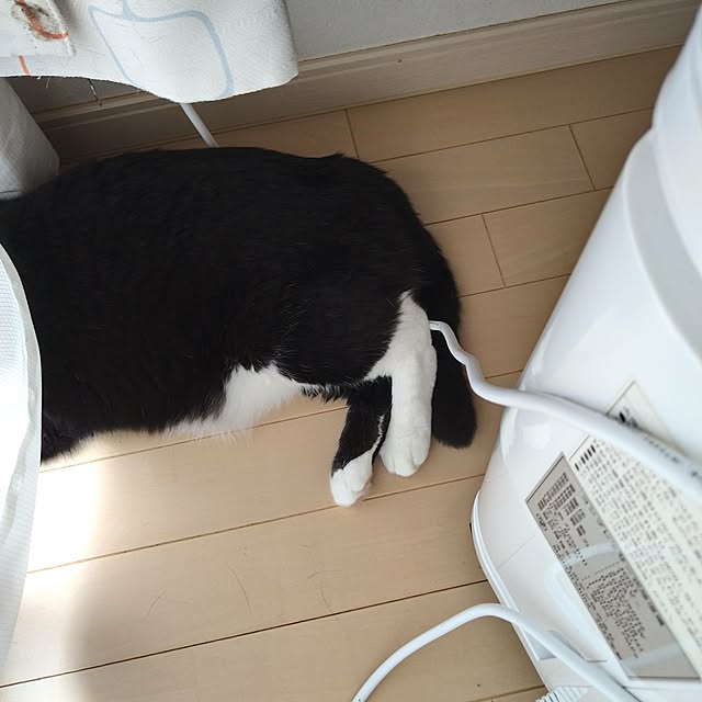 koromaroさんの部屋