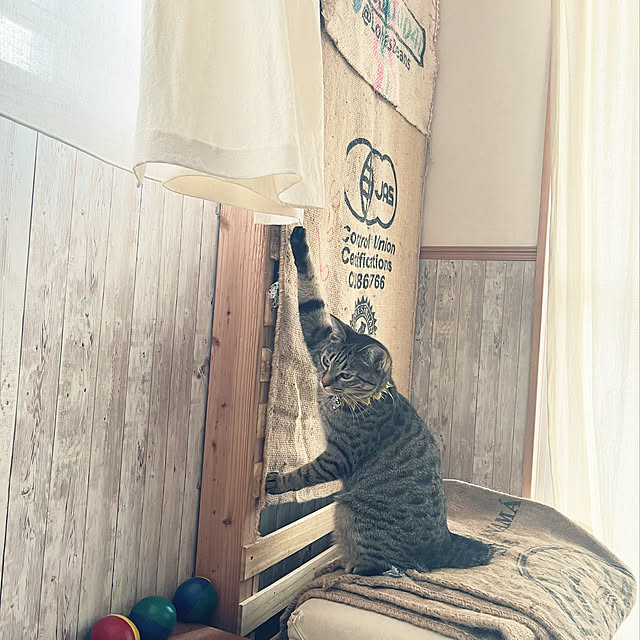 Mさんの実例写真