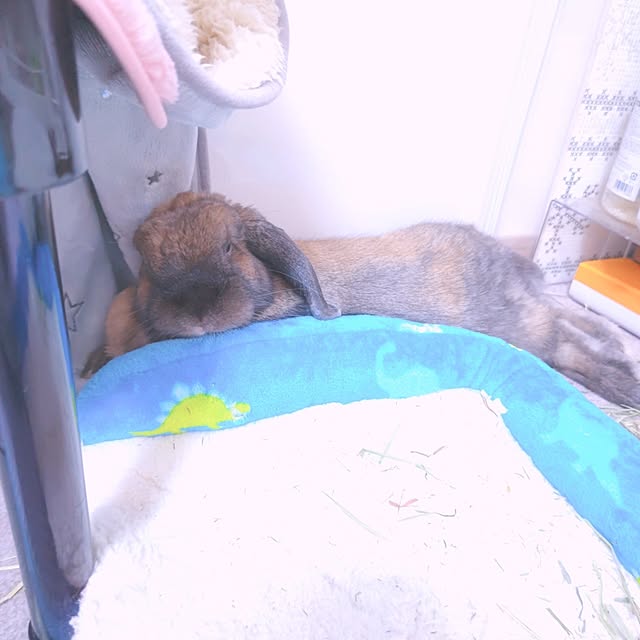 mariaさんの実例写真