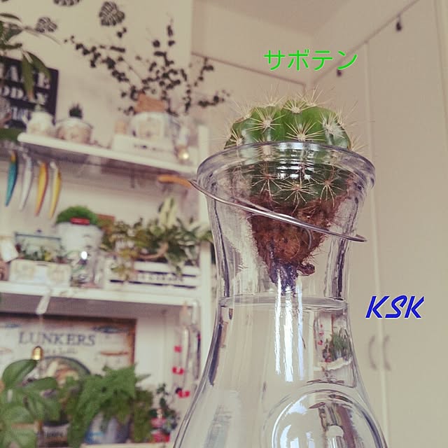 kskさんの実例写真
