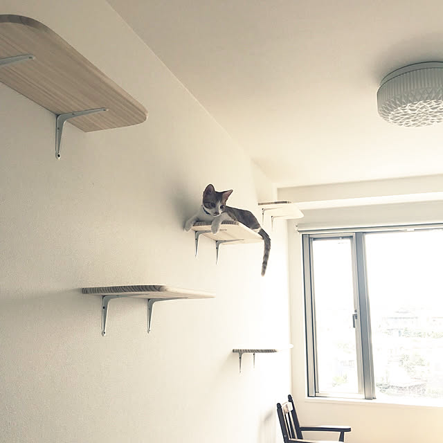 y.さんの実例写真