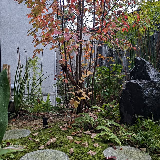 ayaさんの実例写真