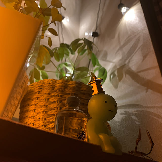 auraさんの実例写真